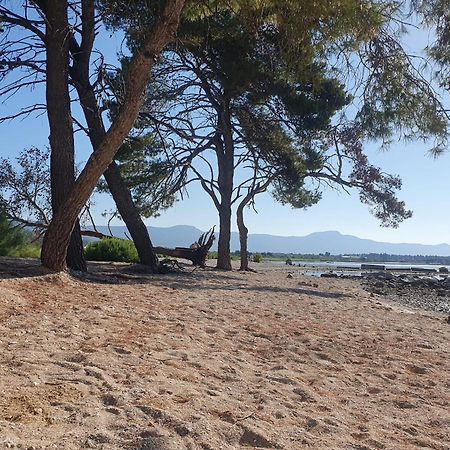 Penthouse Apartman Marcelina In Trogir Exteriör bild